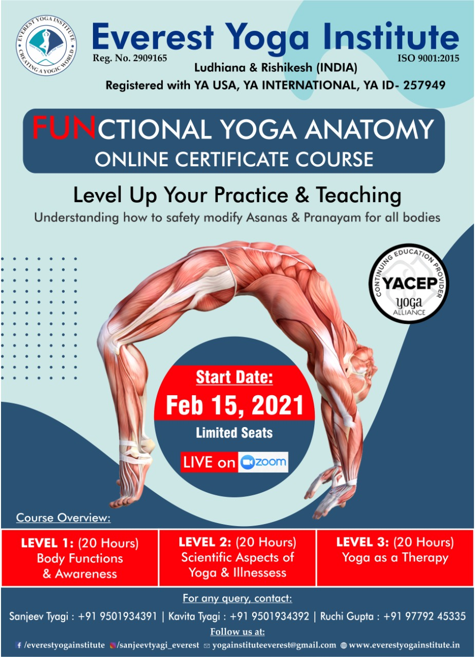 Functional Yoga Anatomy Online Certificate Course 